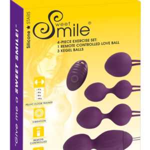 SMILE 4-Piece Exercise geyser ball set (purple)